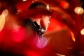 Foto’s Haarlem Jazzstad van Stephen Bingham